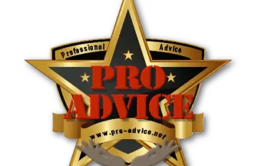 Professional Advice LLC